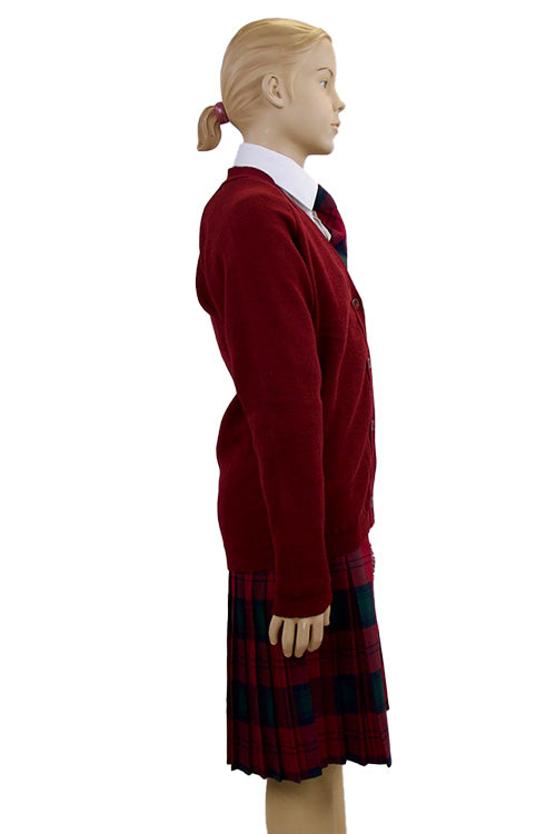 Gaelscoil Ui Fhiaich Cardigan | Wine | Primary School
