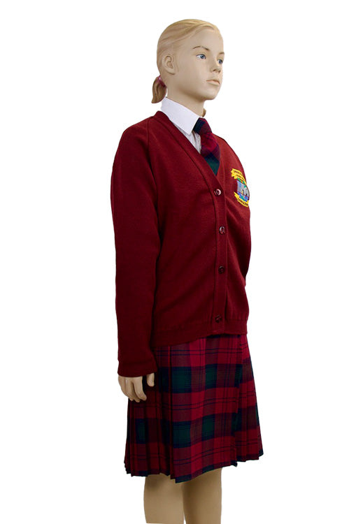 Gaelscoil Ui Fhiaich Cardigan | Wine | Primary School