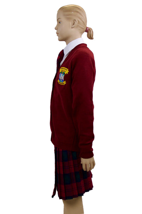 Gaelscoil Ui Fhiaich Cardigan | Wine | Primary School