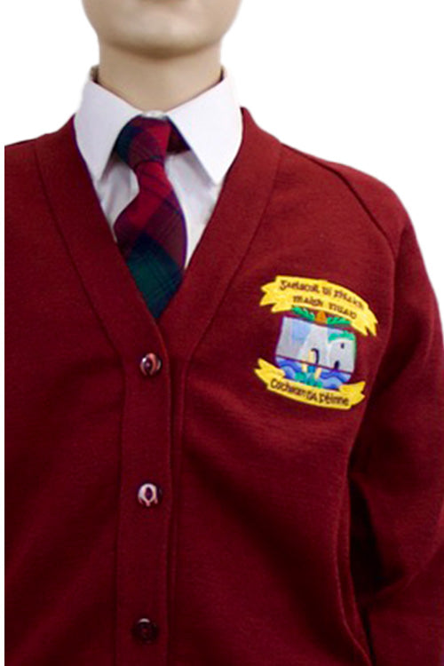 Gaelscoil Ui Fhiaich Cardigan | Wine | Primary School
