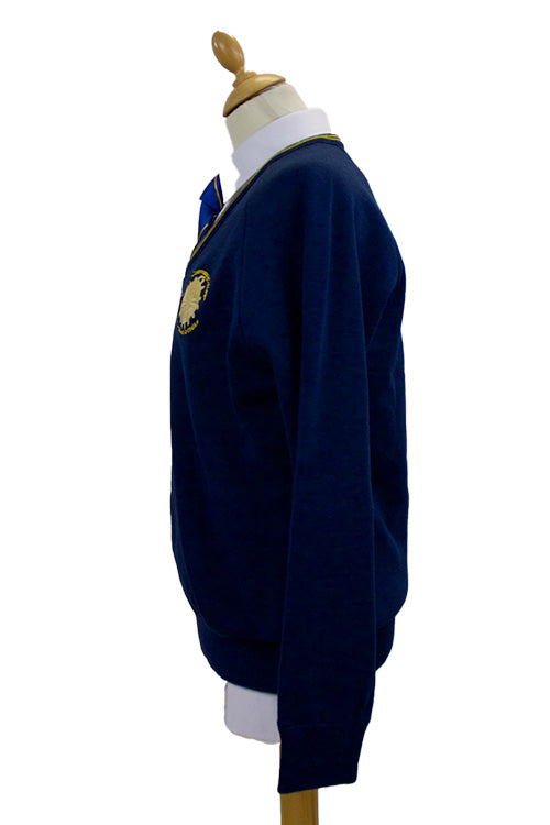 Kishoge Community College | Boys Senior Navy Jumper