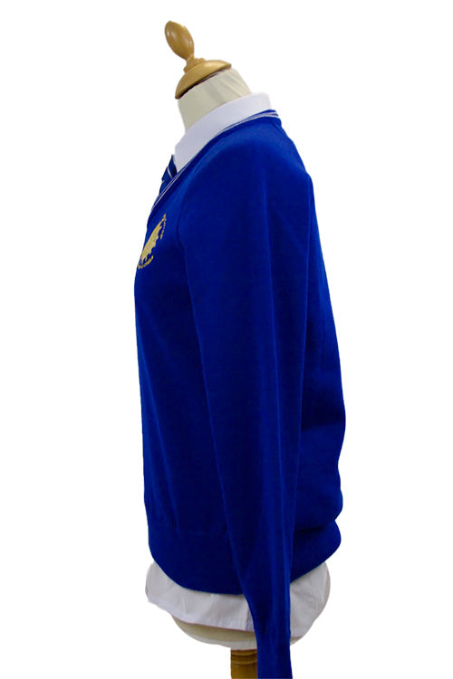 Kishoge Community College | Junior Cycle Boys Jumper | Royal Blue