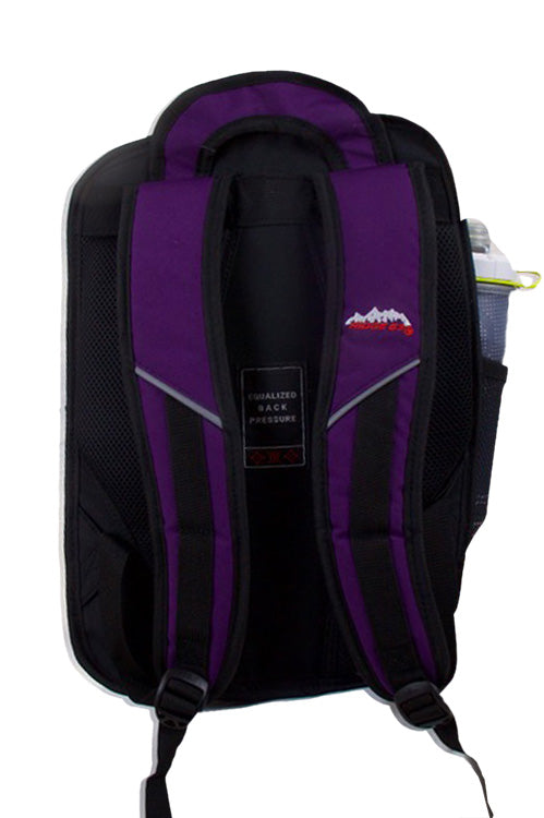 Ridge 53 | 2D School Bag | Purple & Sky Blue