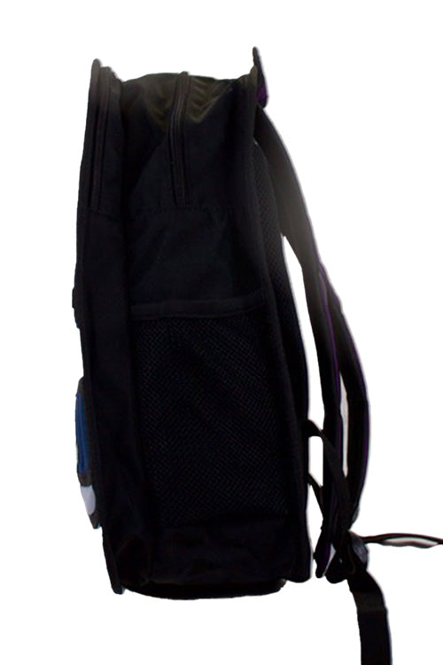 Ridge 53 | 2D School Bag | Purple & Sky Blue