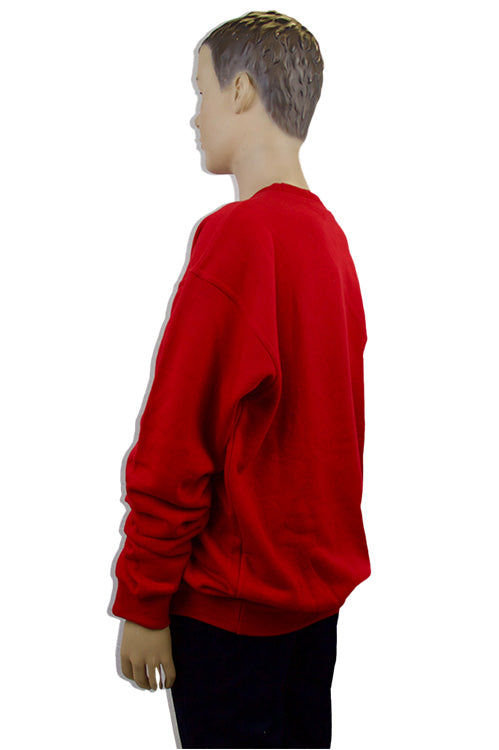 Scoil Mhuire Shankill Sweatshirt | Red | Unisex