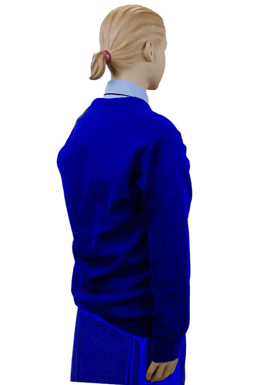 Royal Blue Junior School V-Neck Jumper | Primary School