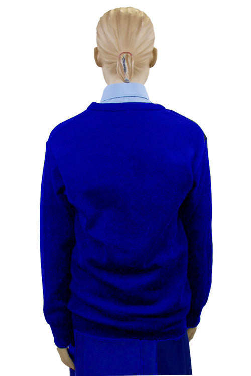 Royal Blue Junior School V-Neck Jumper | Primary School