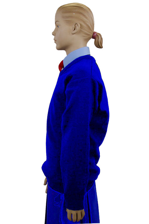 Royal Blue Junior School V-Neck Jumper | Primary School